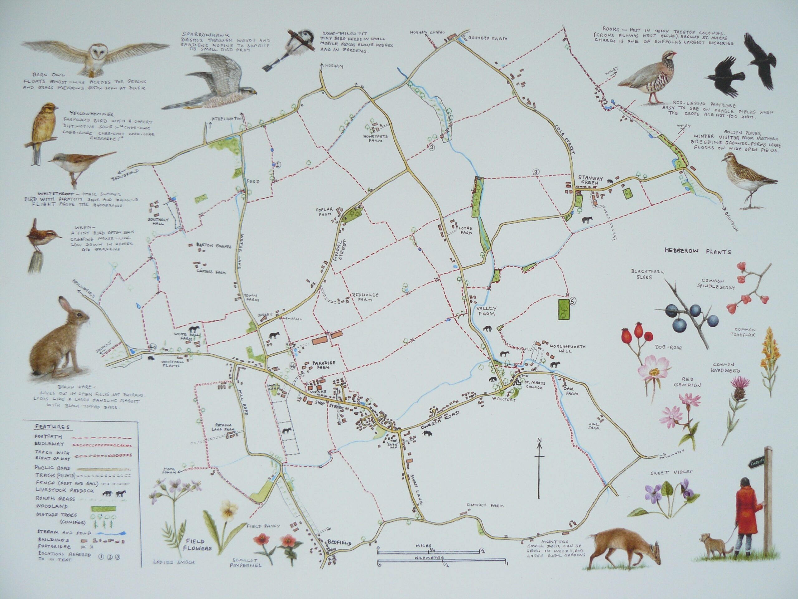 A map outlining the footpath network of Worlingworth
